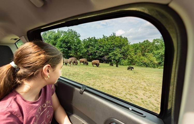 Photo of Peaugres Safari Park