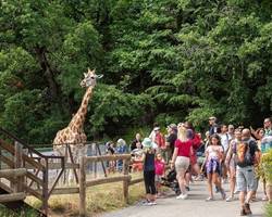 Peaugres Safari Park