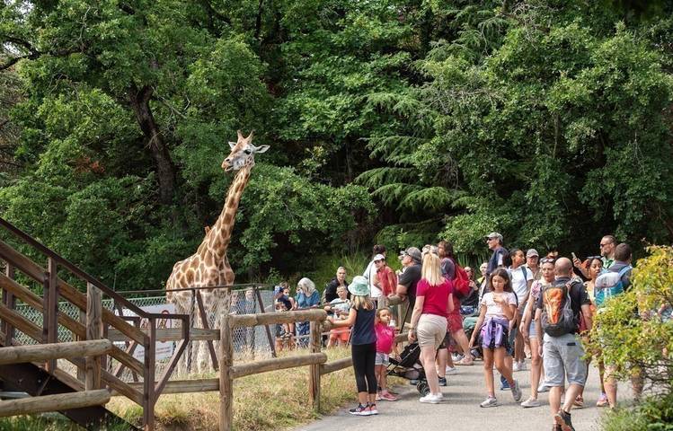 Photo of Peaugres Safari Park