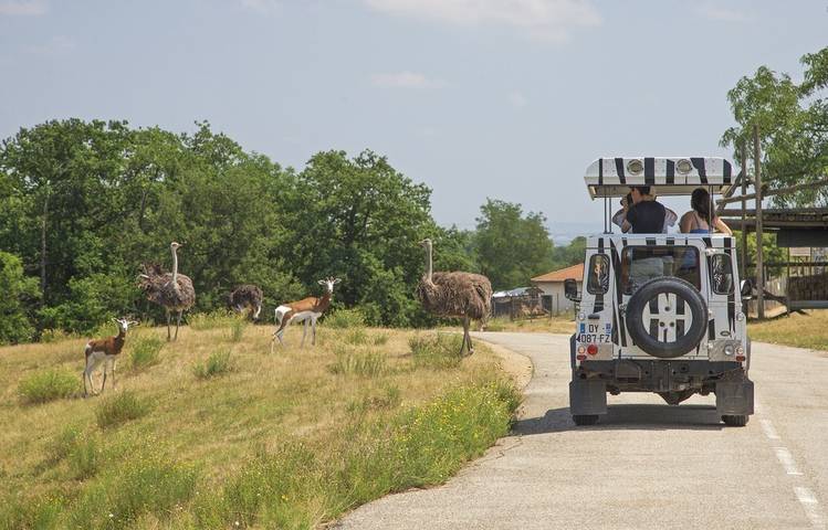 Photo of Peaugres Safari Park
