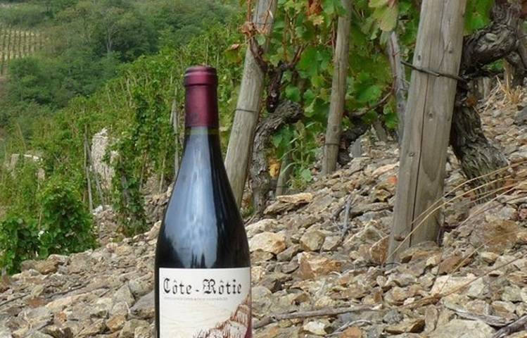 Photo of Vignobles Levet