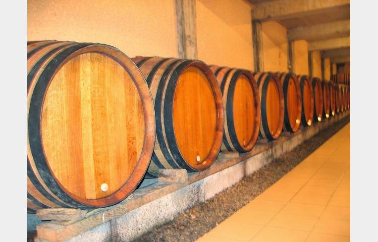 image de Vineyard Levet