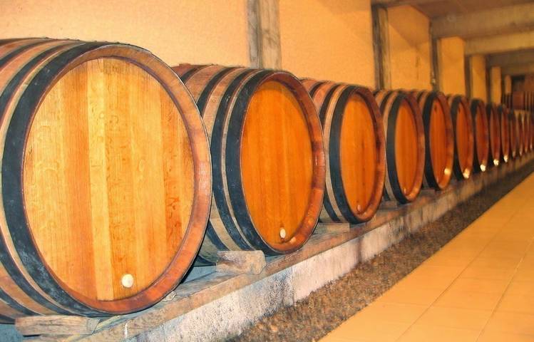 Photo of Vignobles Levet