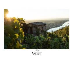 Domaine Vallet