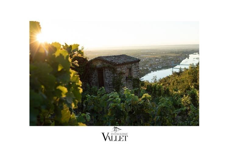 Photo of Domaine Vallet