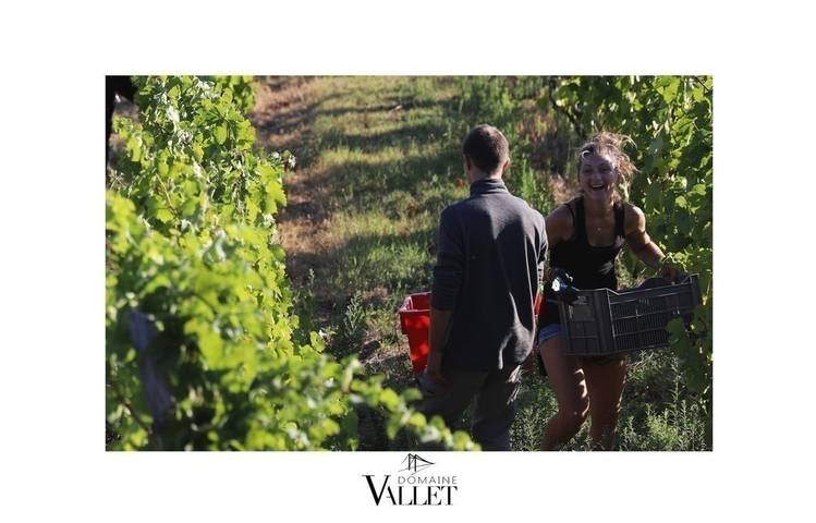 Photo of Domaine Vallet
