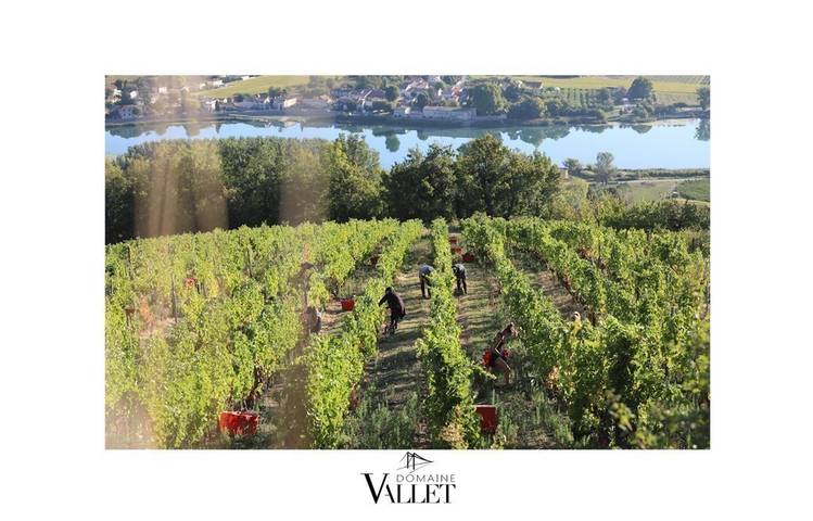Photo of Domaine Vallet