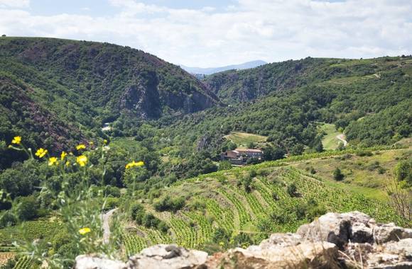 img-le-grand-huit