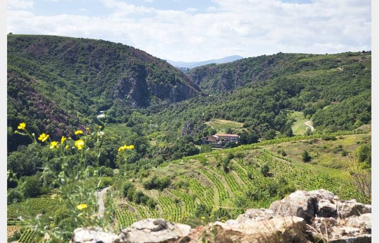 image de Le grand huit