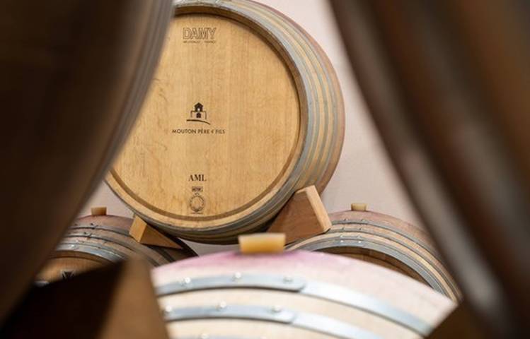 Photo of Mouton Père & Fils