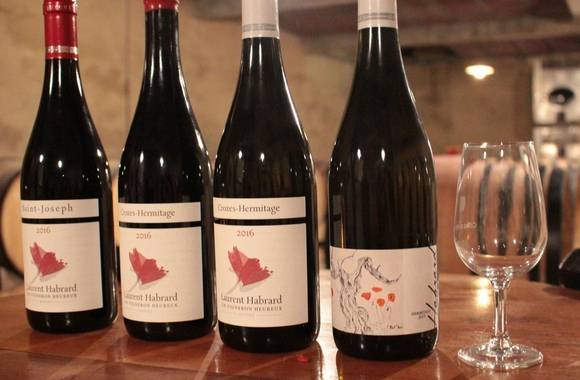 img-vineyard-aperitif-at-domaine-lhabrard