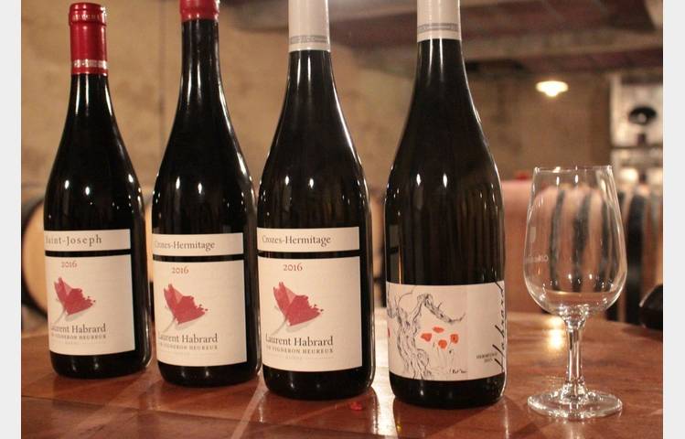 image de Vineyard aperitif at Domaine L.Habrard