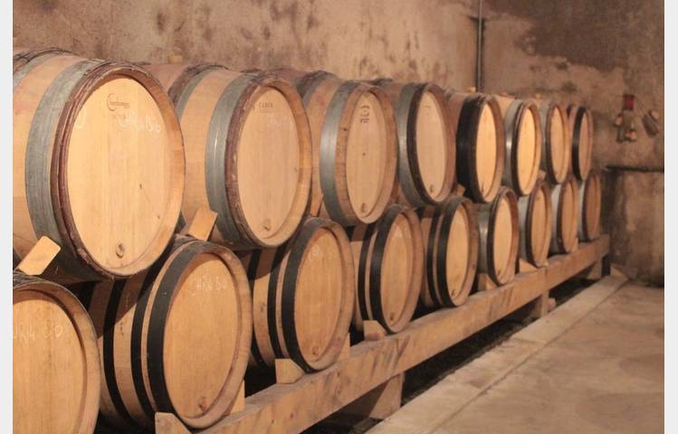 image de Vineyard aperitif at Domaine L.Habrard