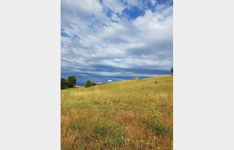 image de Domaine du Coulet, Matthieu Barret