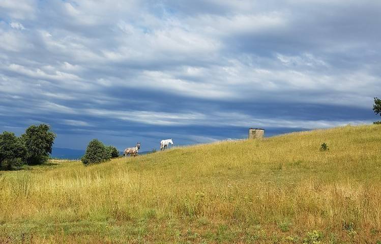 Photo of Domaine du Coulet, Matthieu Barret