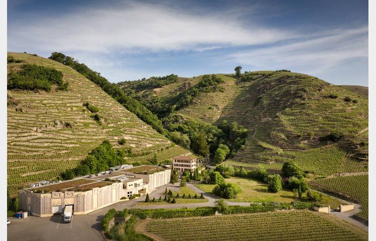 image de Maison Vidal-Fleury