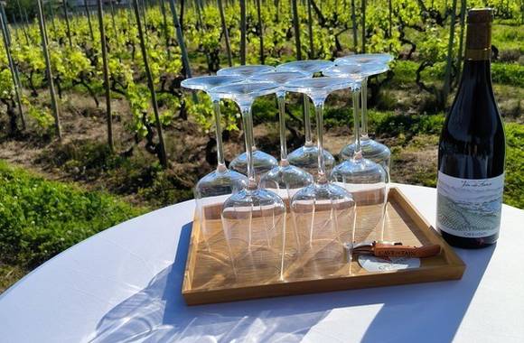 Gha Sha protocol workshop-beauty tools and wine tasting