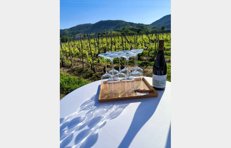 image de Gha Sha protocol workshop-beauty tools and wine tasting