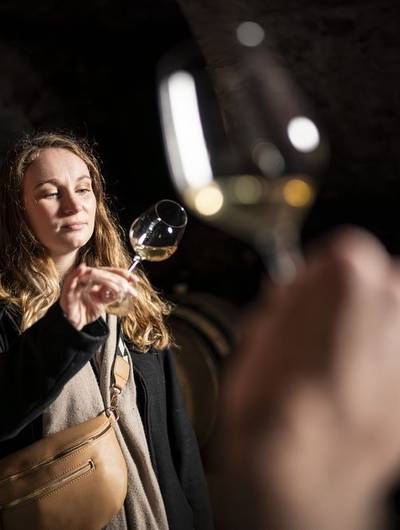 img-culture-et-vins-au-domaine-anthony-paret