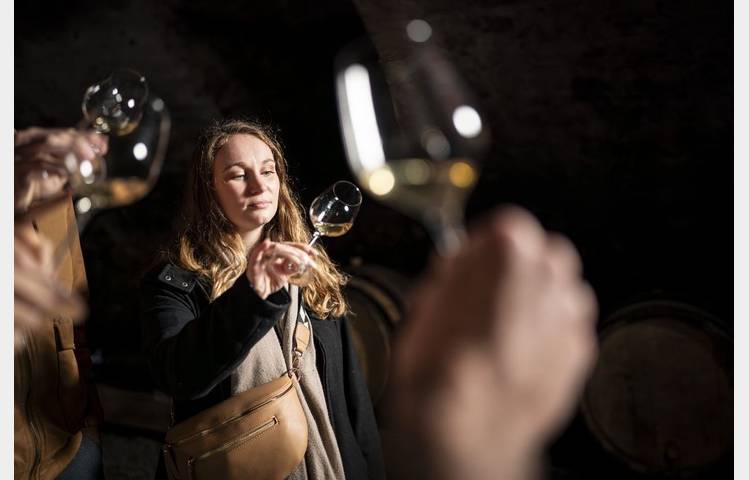 image de Culture and Wines at Domaine Anthony Paret