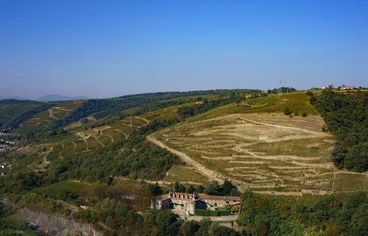Photo of Domaine Christophe Semaska