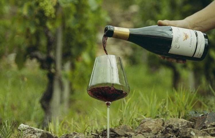 Photo of Domaine Christophe Semaska