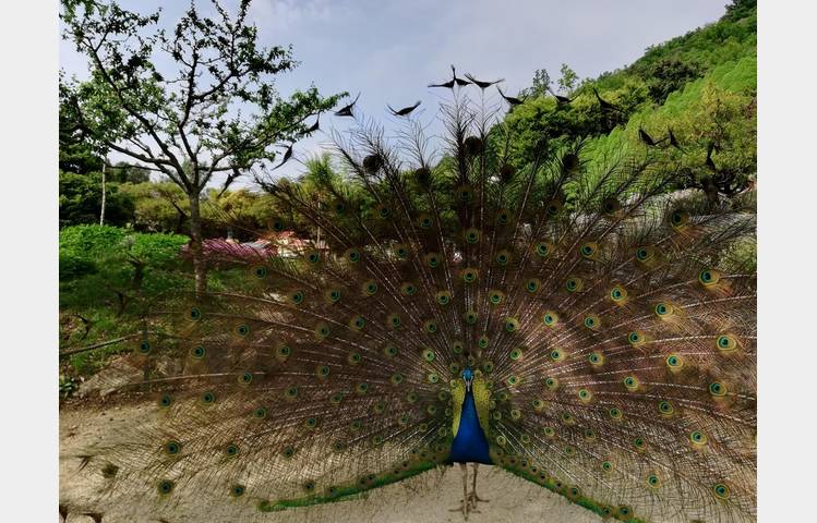 image de Jardin des Trains Ardéchois