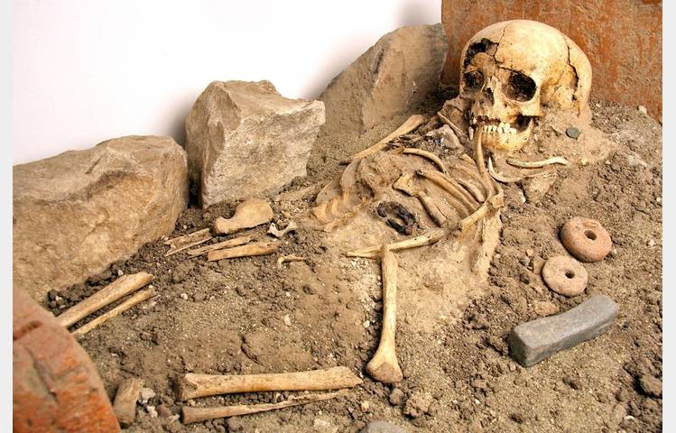 image de Musée archéologique de Soyons