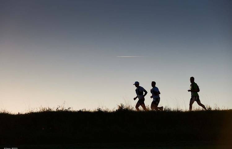 Photo of Trail en Côte-Rôtie