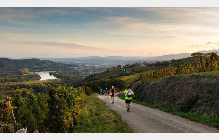 image de Côte-Rôtie Trail