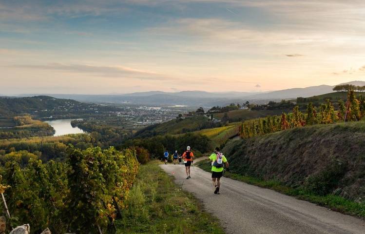 Photo of Trail en Côte-Rôtie