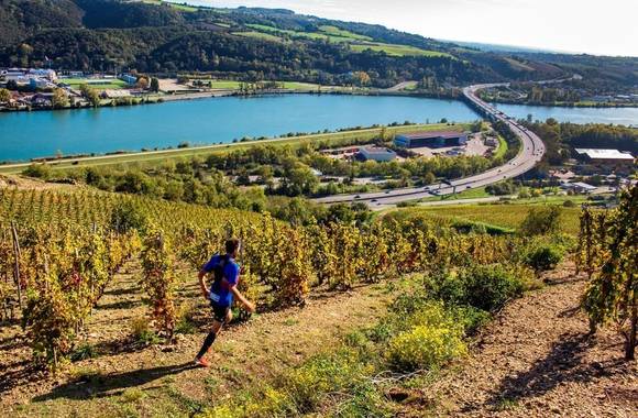 Côte-Rôtie Trail