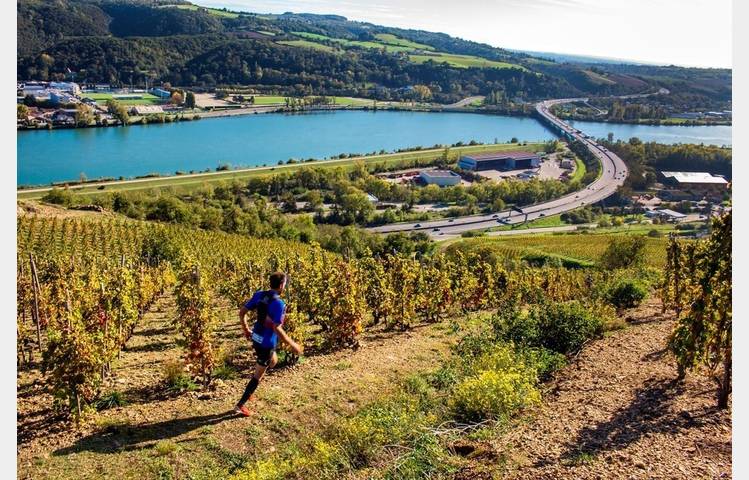 image de Côte-Rôtie Trail