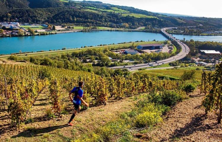 Photo of Trail en Côte-Rôtie