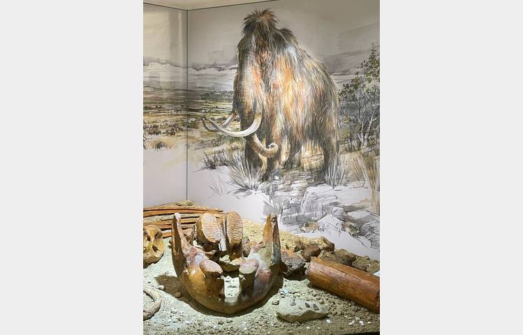 image de Musée archéologique de Soyons
