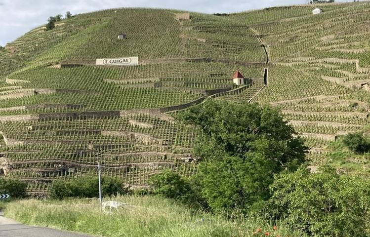 Photo of Apéro des Coteaux Côte-Rôtie ou Condrieu avec Mr Probus
