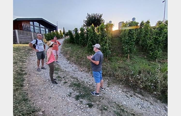 image de Apéro des Coteaux Côte-Rôtie ou Condrieu avec Mr Probus