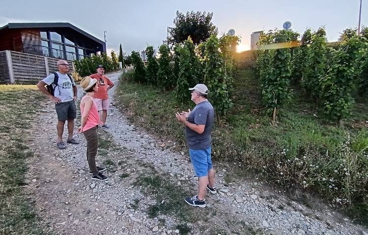 Photo of Apéro des Coteaux Côte-Rôtie ou Condrieu avec Mr Probus