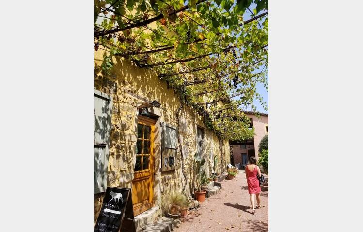 image de Wine estate Corps de Loup