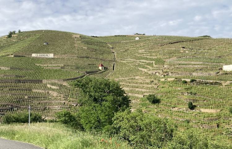 Photo of Rando & Vin en Côte-Rôtie avec Mr Probus