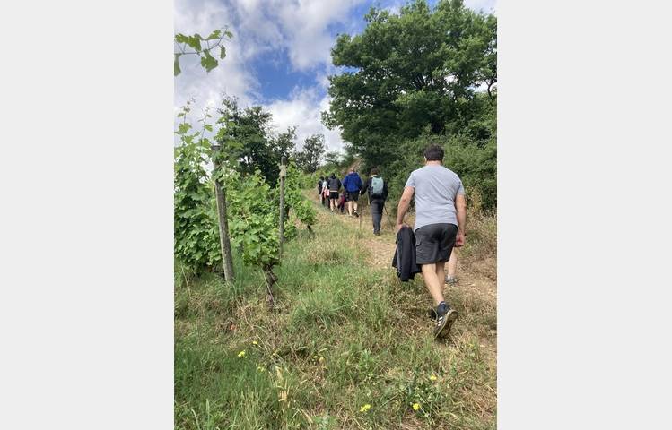 image de Rando & Vin en Côte-Rôtie avec Mr Probus