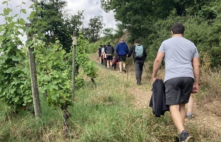 Photo of Rando & Vin en Côte-Rôtie avec Mr Probus