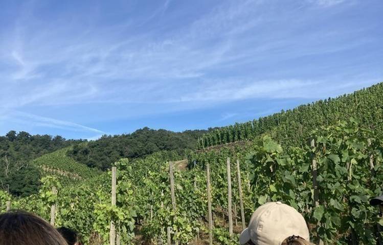 Photo of Rando & Vin en Côte-Rôtie avec Mr Probus