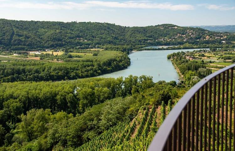 Photo of Rando & Vin en Côte-Rôtie avec Mr Probus