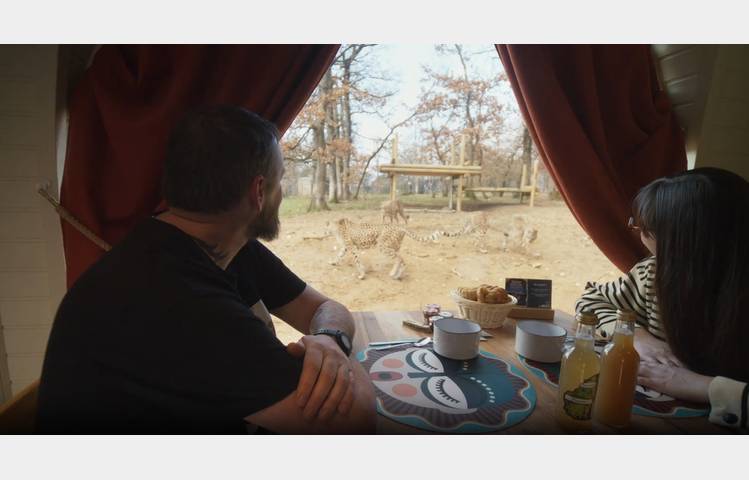 image de Les Huttes guépards du Safari de Peaugres