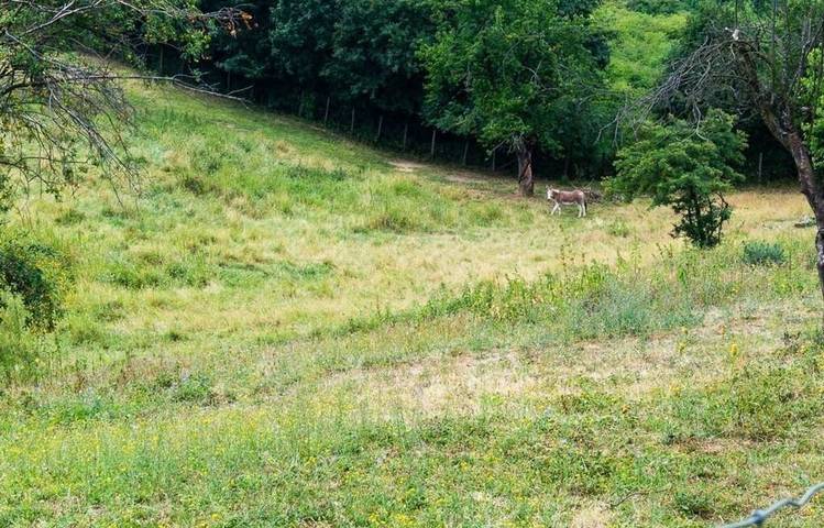 Photo of Gite de Cuet