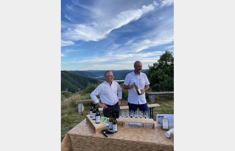 image de Sunset dans les vignes - Les vins de Saint-Vallier