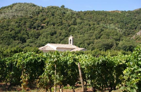 img-saint-bosc