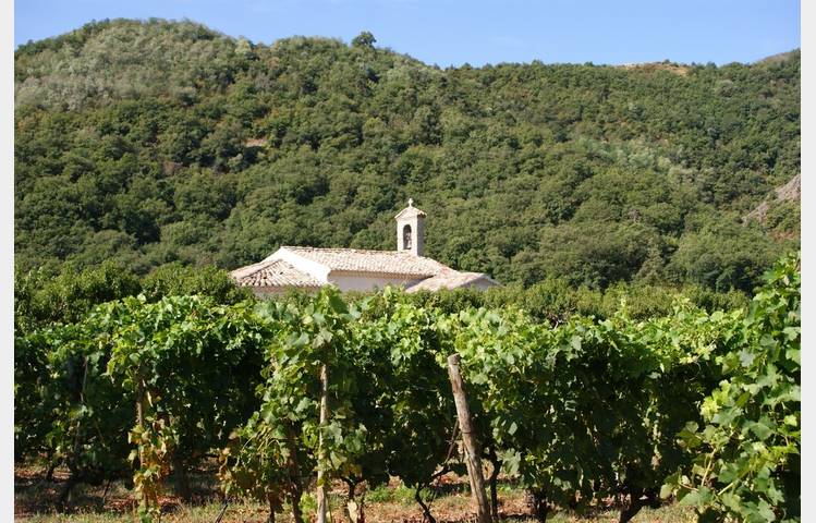 image de Saint Bosc
