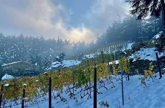 img-domaine-johann-michel